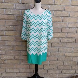 PINK OWL Chevron Shift Dress